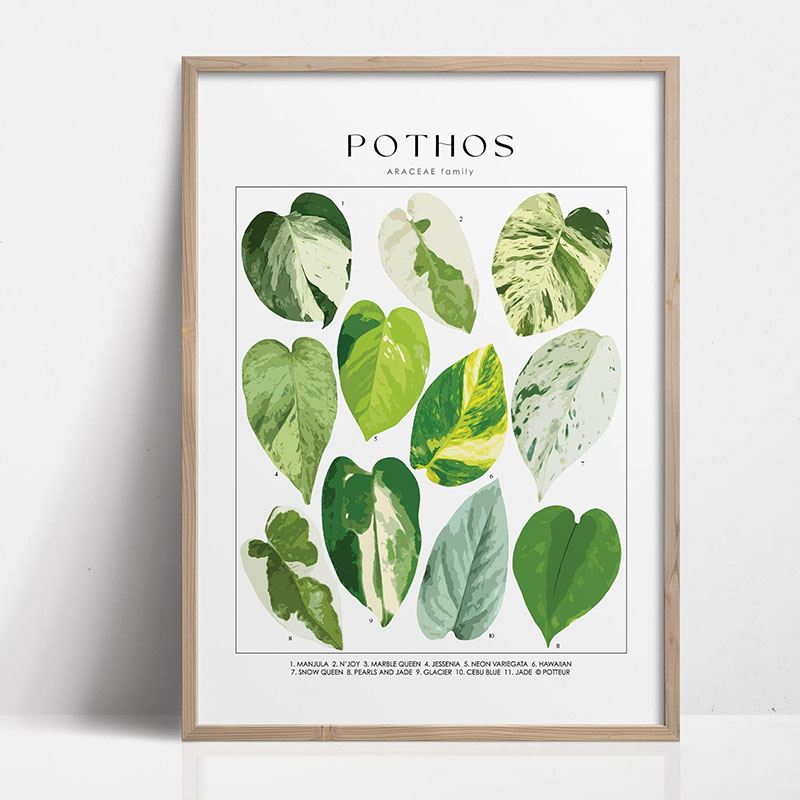 1pc Modern Houseplants Leaves  - Photography Pose ulasan dan harga