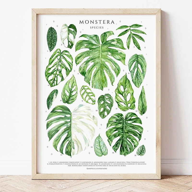 1pc Modern Houseplants Leaves  - Photography Pose ulasan dan harga
